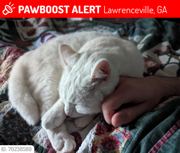 Lost Male Cat last seen Between Davis Dr & Scenic Hwy., Lawrenceville, GA 30046