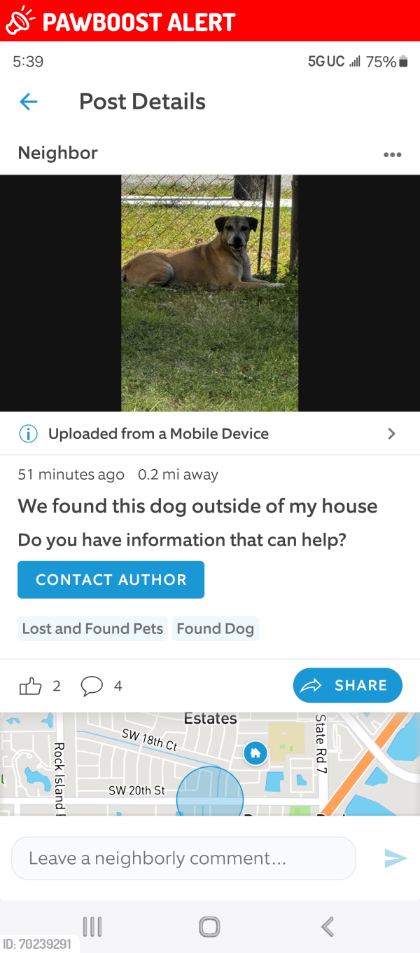 Lost Unknown Dog last seen North lauderdale , North Lauderdale, FL 33068
