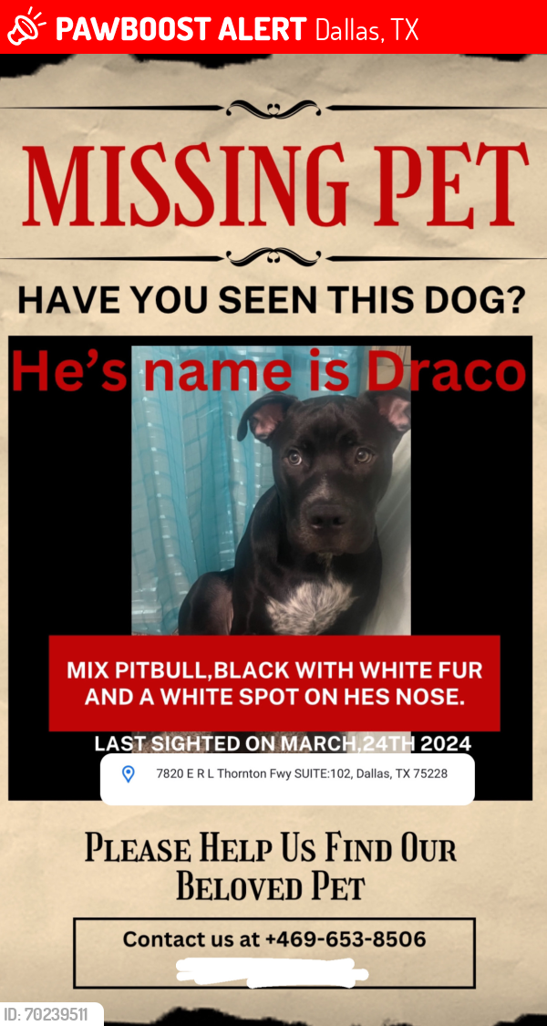 Lost Male Dog last seen Near e r l thornton, Dallas, TX 75228