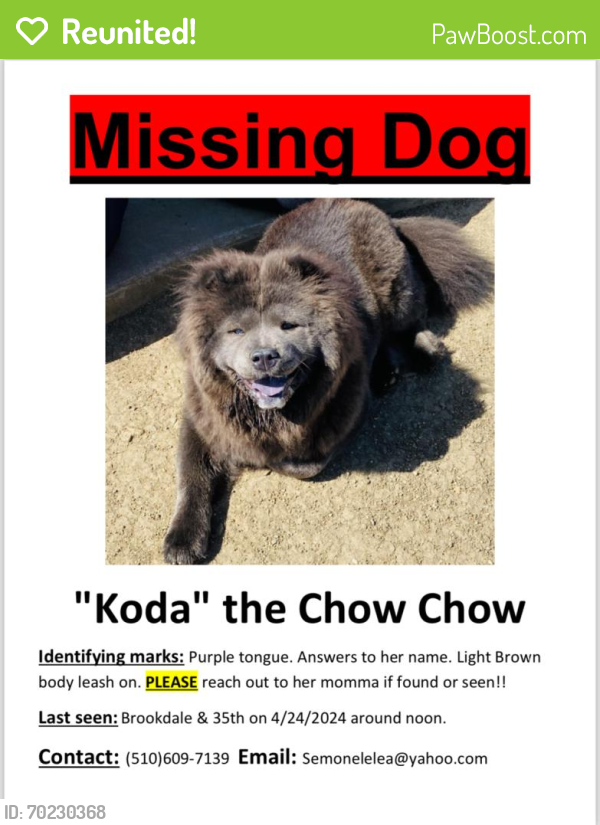 Reunited Female Dog last seen 35th Ave Oakland, CA  94619 United States, Oakland, CA 94619