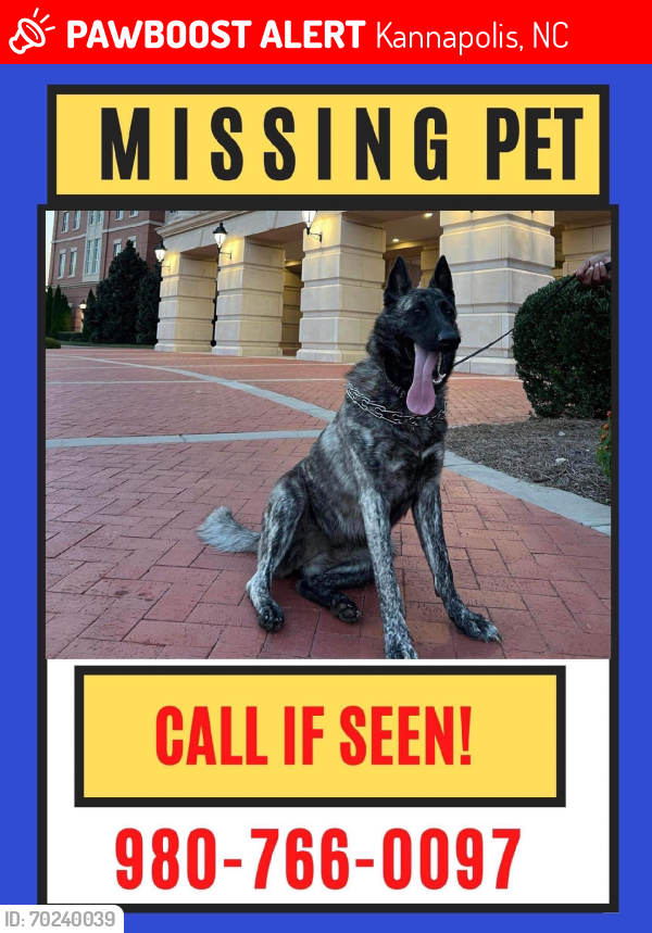 Lost Female Dog last seen Research drive, Kannapolis, NC 28083