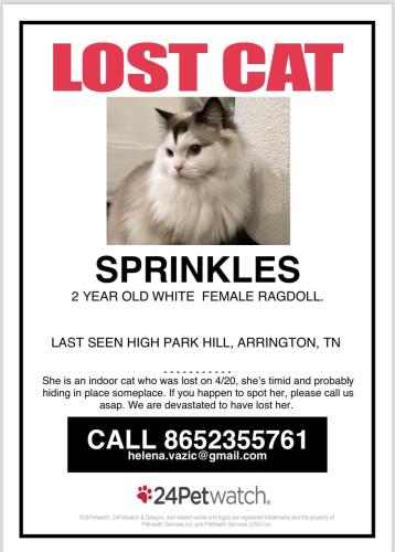 Lost Female Cat last seen Murfreesboro Rd and Wilson Pike, Arrington, TN 37014