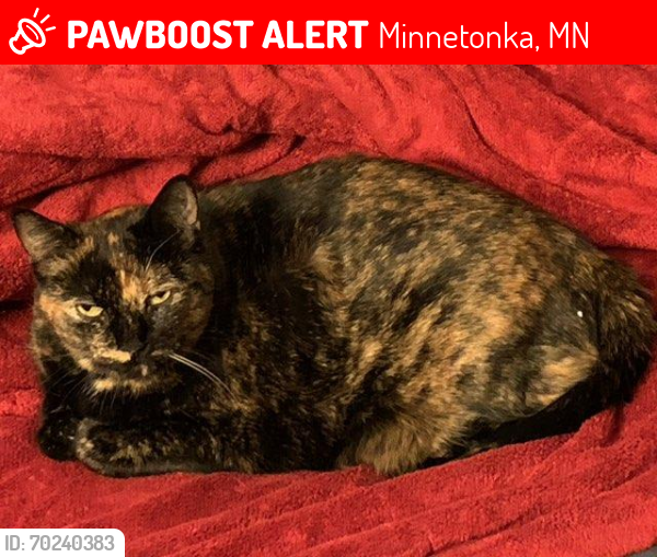 Lost Female Cat last seen Near Cedar Lake Rd., Minnetonka MN 55305, Minnetonka, MN 55305