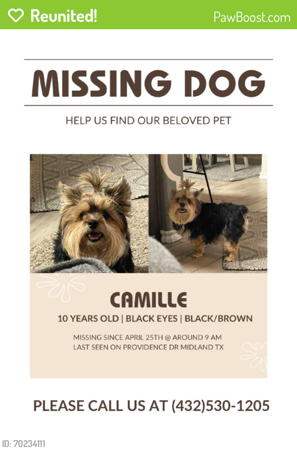 Reunited Female Dog last seen Midkiff - providence, Midland, TX 79708