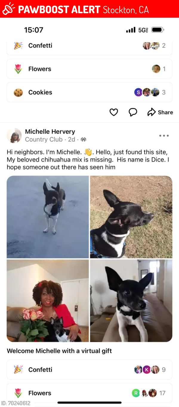 Lost Male Dog last seen Country Club area, Stockton, CA 95204