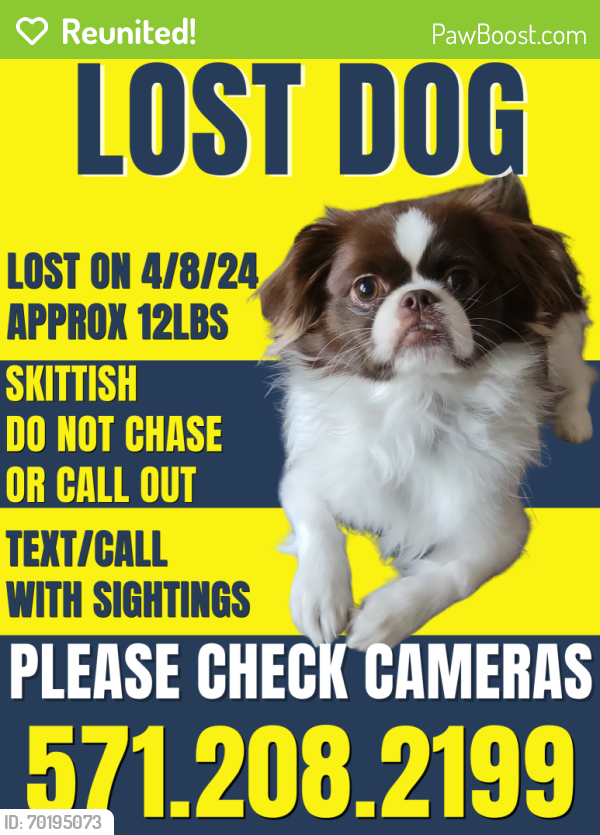 Reunited Male Dog last seen Allentown Rd, Joint Base Andrews, MD, USA, Joint Base Andrews, MD 20746