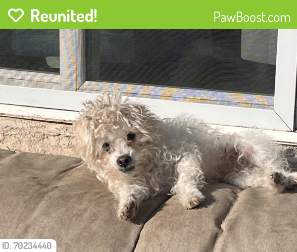 Reunited Male Dog last seen Manville Ave and Riverview Dr, Pittsburg, CA 94565