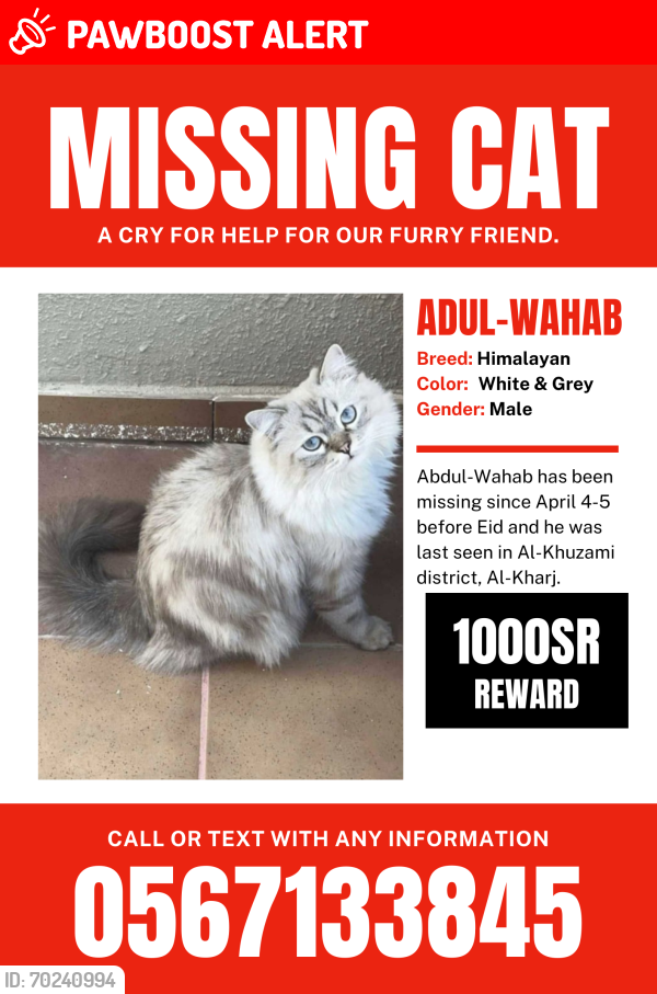 Lost Male Cat last seen Al-Khuzami district, Al-Kharj., Al-Kharj, Riyadh Province 