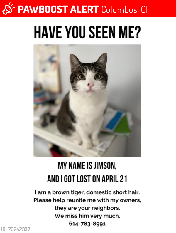 Lost Male Cat last seen Neighborhood NW of W Henderson Rd and N High St, Columbus, OH 43214