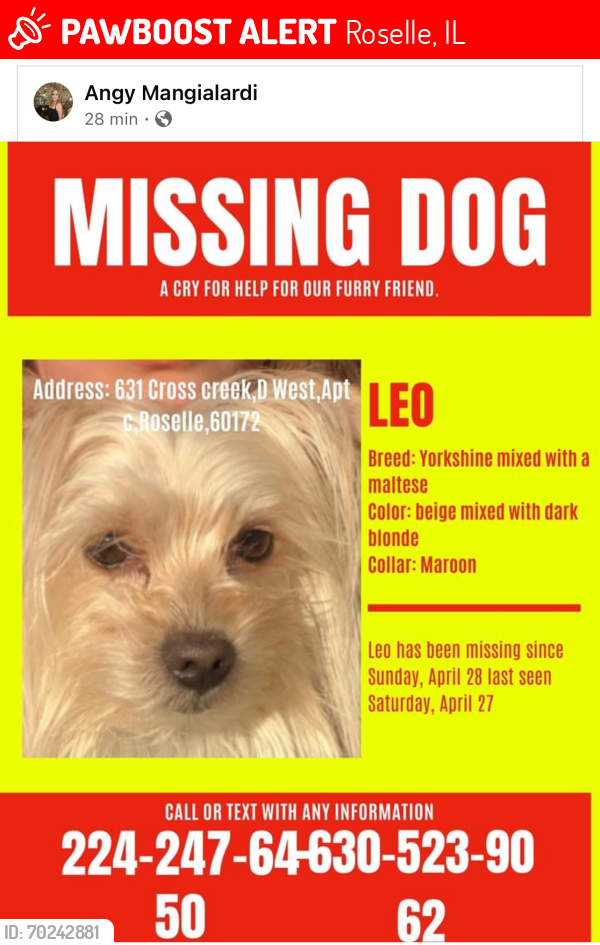 Lost Male Dog last seen Cross creek drive, Roselle, IL 60172