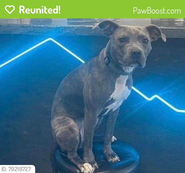 Reunited Female Dog last seen nw50th and meridian ave, Oklahoma City, OK 73112