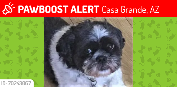 Lost Male Dog last seen Near Jaycie Dr, Casa Grande, AZ, Casa Grande, AZ 85122