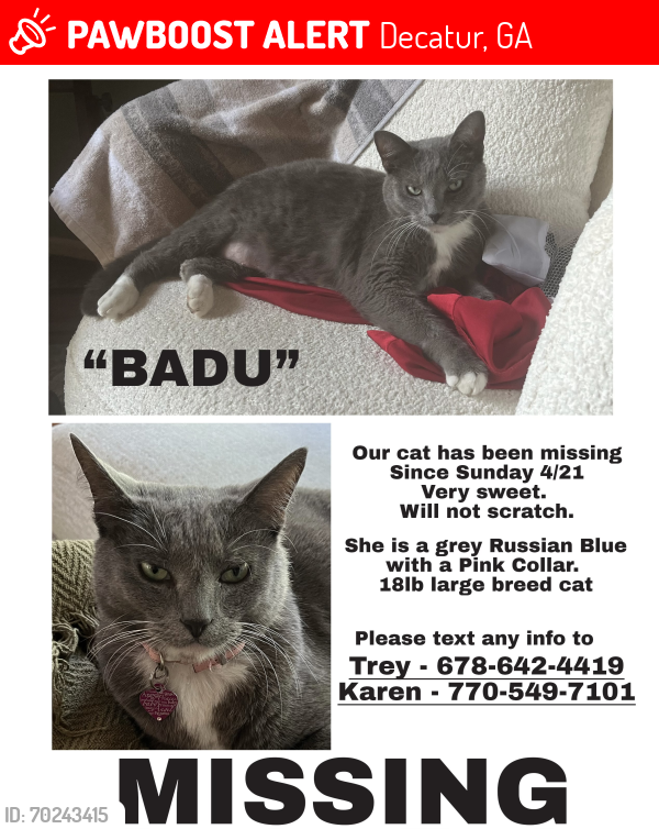 Lost Female Cat last seen Near Fantasy Ln, Decatur, GA 30033
