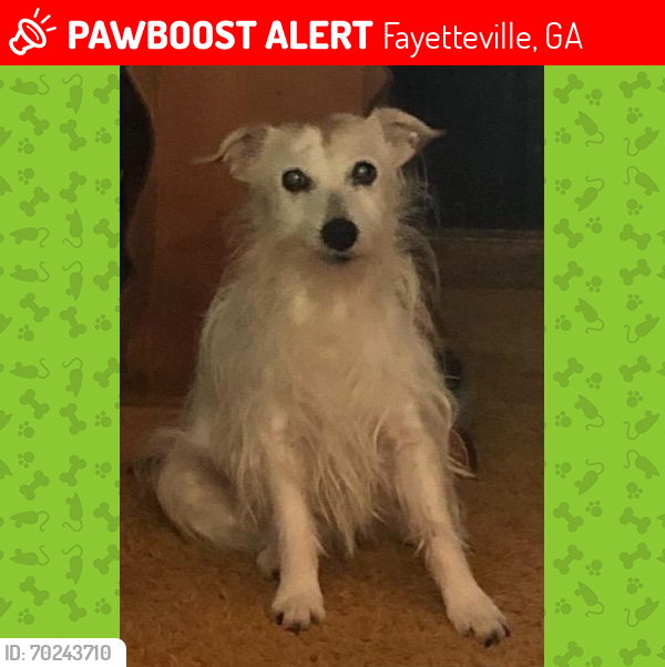 Lost Female Dog last seen Briarwood Dr , Fayetteville, GA 30215