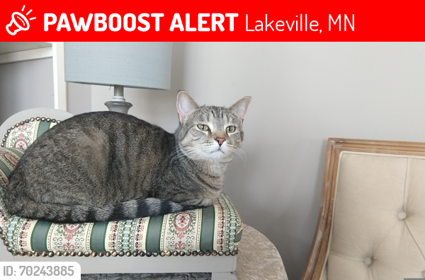 Lost Male Cat last seen Huxley and Hyla Ave Lakeville MN, Lakeville, MN 55044