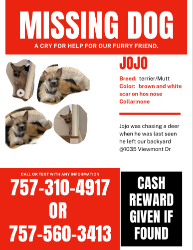 Lost Male Dog last seen Viewmont & Gumtree, Asheboro, NC 27205