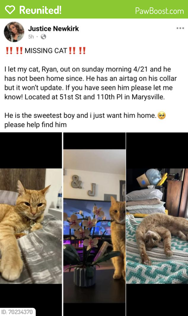 Reunited Male Cat last seen Marysville , Marysville, WA 98270