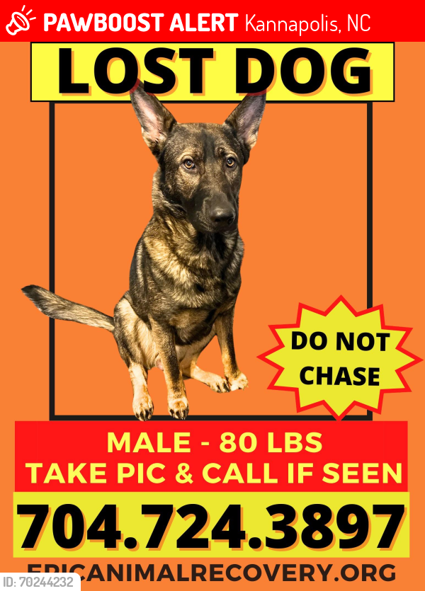Lost Male Dog last seen kannapolis Parkway and Finger Lake, Kannapolis, NC 28027