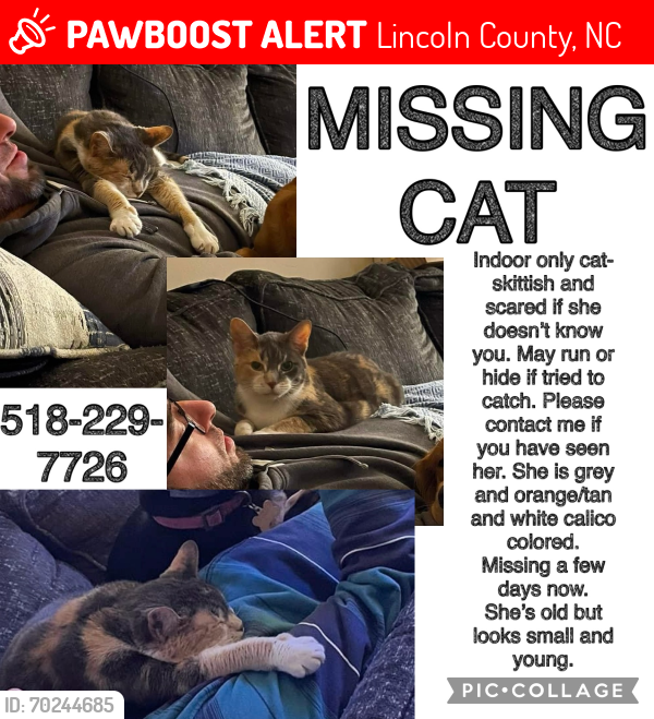 Lost Female Cat last seen Ironton Animal hosp/ Iron station Elementary, Lincoln County, NC 28080