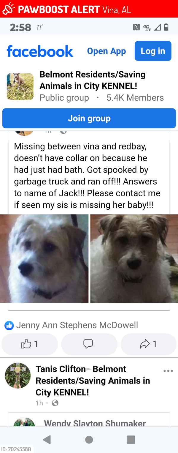 Lost Male Dog last seen Old vina road, Vina, AL 35593