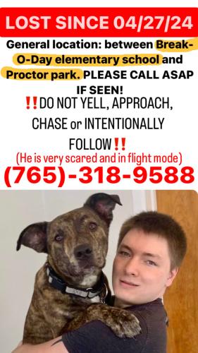 Lost Male Dog last seen Honey Creek Meadows Neighborhood, Whiteland, IN 46184