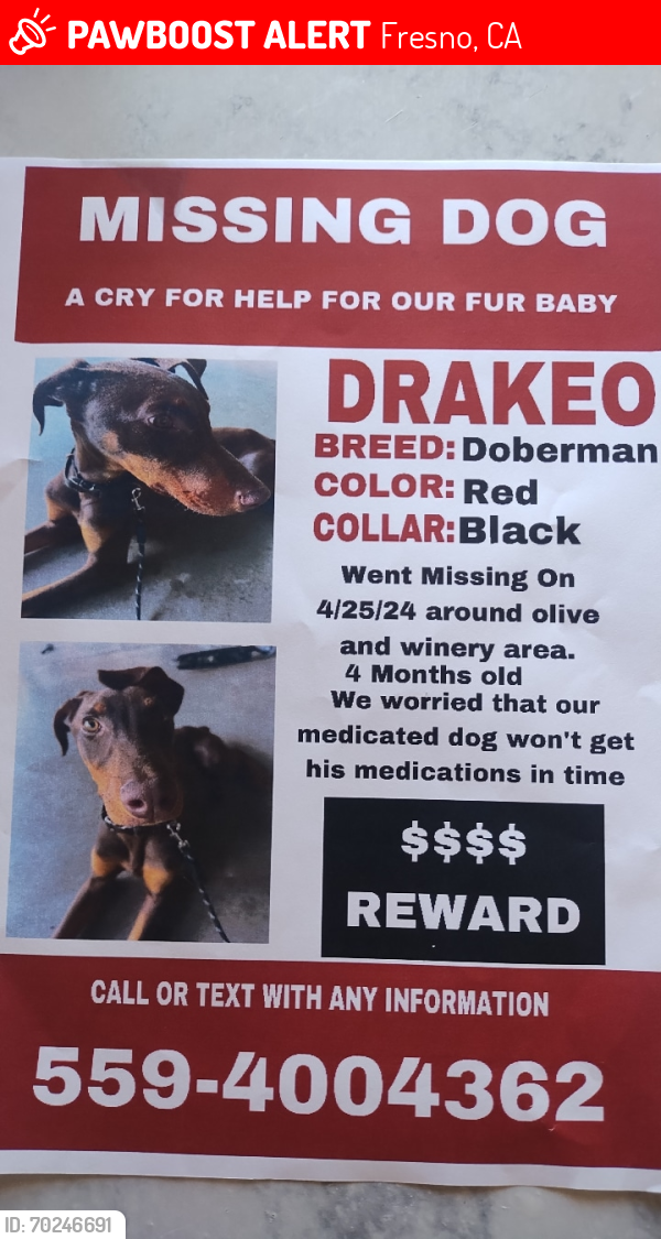Lost Male Dog last seen Leisure and winery , Fresno, CA 93721