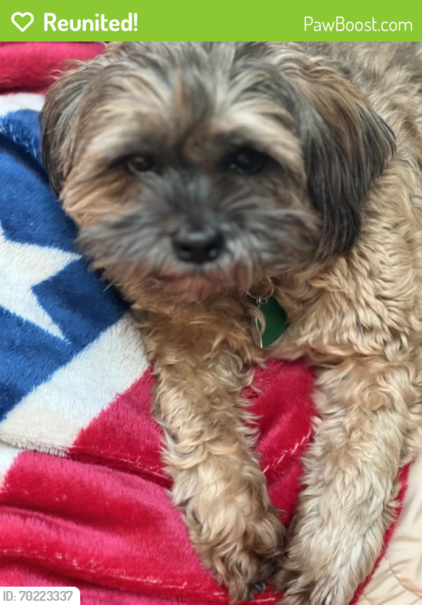 Reunited Male Dog last seen Highway160&mimosa st, Fort Mill, SC 29715