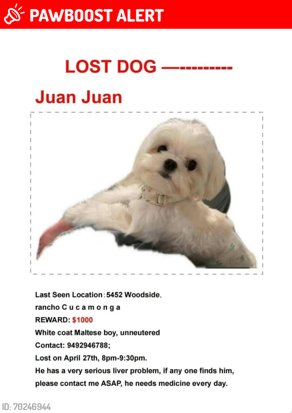 Lost Male Dog last seen Near woodside pl Rancho Cucamonga , Rancho Cucamonga, CA 91737