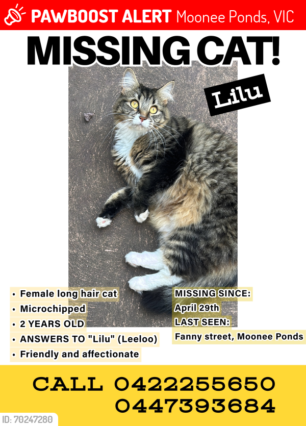 Lost Female Cat last seen fanny street, Moonee Ponds, Moonee Ponds, VIC 3039