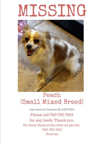 Lost Female Dog last seen Puerto Vallarta Ave, Imperial, CA 92251