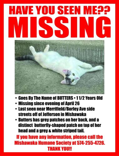 Lost Female Cat last seen East Borley St. And Merrifield St.   Off of Jefferson  , Mishawaka, IN 46545