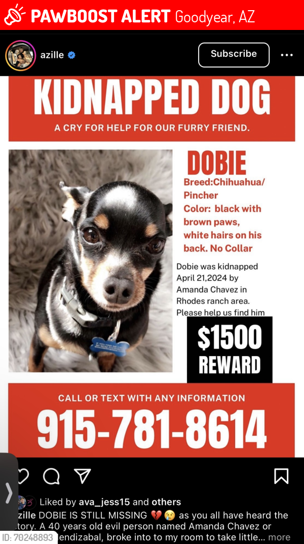 Lost Male Dog last seen N/a, Goodyear, AZ 85323
