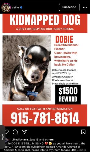 Lost Male Dog last seen N/a, Goodyear, AZ 85323