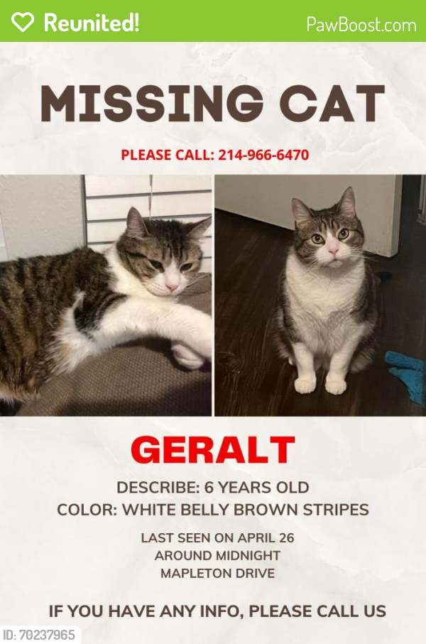 Reunited Male Cat last seen Ferguson and Peavy, Dallas, TX 75228