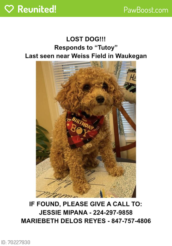 Reunited Male Dog last seen Weiss Field, Waukegan, IL 60085