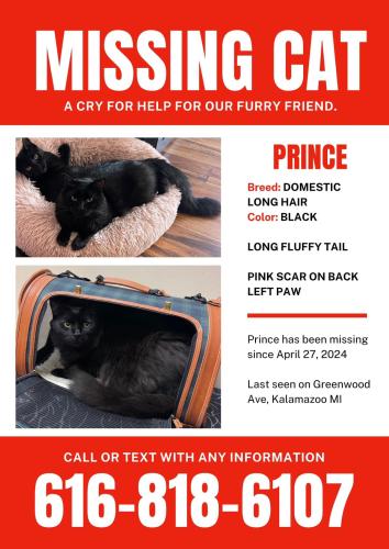 Lost Male Cat last seen Near Greenwood Ave, Kalamazoo, MI, Kalamazoo, MI 49006