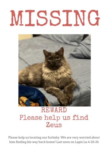 Lost Male Cat last seen ROSENA RANCH COMMUNITY , Devore Heights, CA 92407