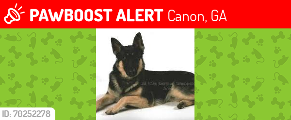 Lost Female Dog last seen airline store , Canon, GA 30520