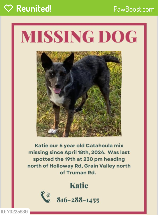 Reunited Female Dog last seen Holloway rd, Oak Grove, MO 64075