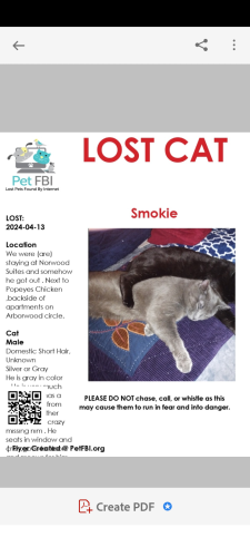 Lost Male Cat last seen Near and 71, Columbus, OH 43229