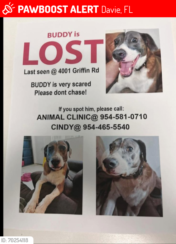 Lost Male Dog last seen Griffin near Trailer park, Davie, FL 33314