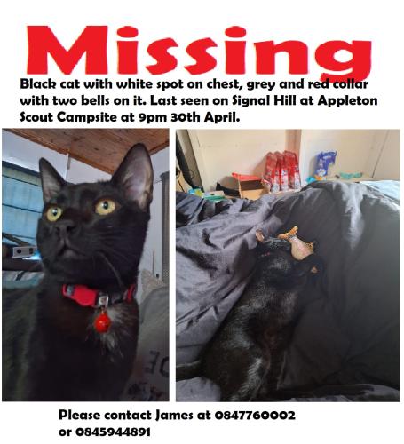 Lost Male Cat last seen Appleton Scout Camp, Appleton, WI 54912