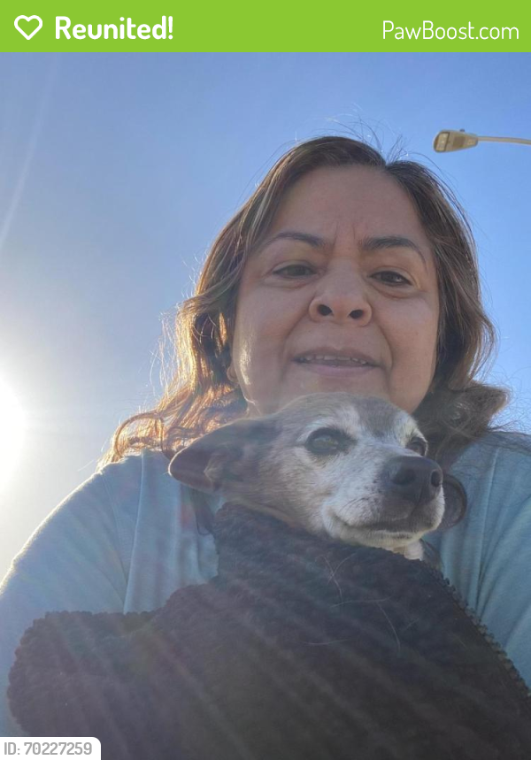 Reunited Male Dog last seen Cobalt Road & Dos Palmas, Victorville, CA 92392