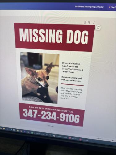 Lost Female Dog last seen Miles Avenue and Harding Avenue, The Bronx, NY 10465