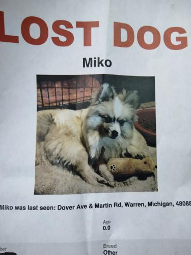Lost Male Dog last seen Martin & Schoenherr , Warren, MI 48088