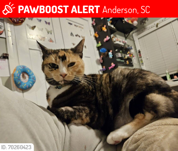 Lost Female Cat last seen Tuscany Neighborhood , Anderson, SC 29621