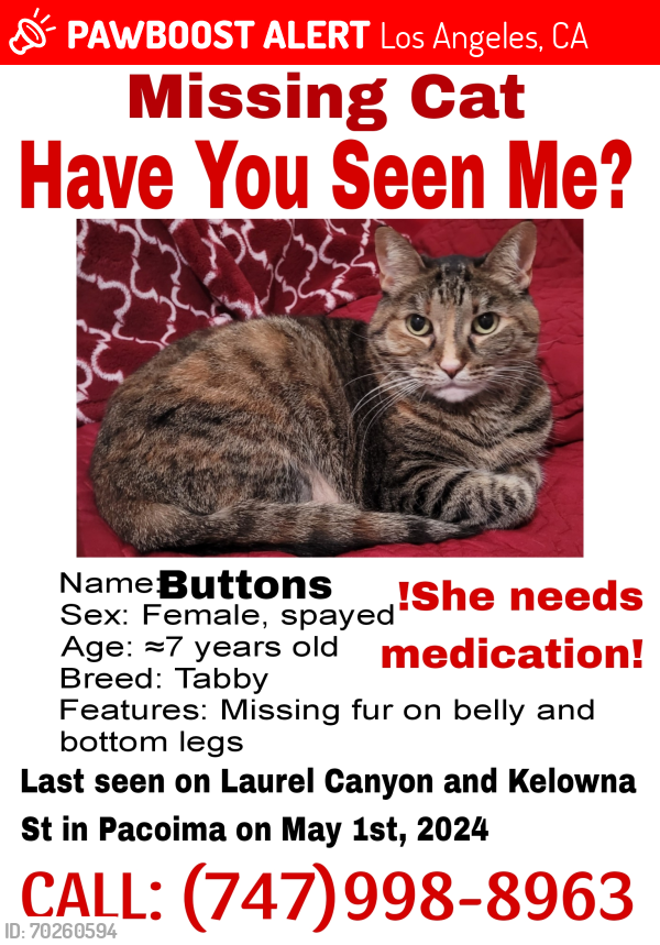 Lost Female Cat last seen Laurel Canyon and Kelowna , Los Angeles, CA 91331