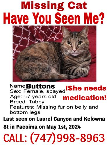 Lost Female Cat last seen Laurel Canyon and Kelowna , Los Angeles, CA 91331