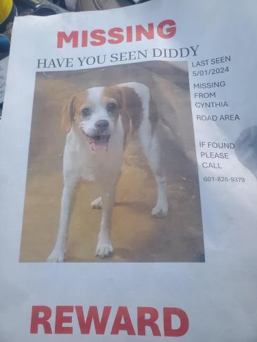 Lost Male Dog last seen Hwy 49, Jackson, MS 39209
