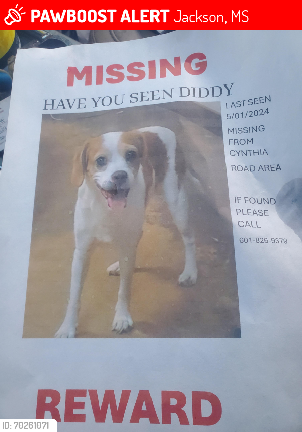 Lost Male Dog last seen Hwy 49, Jackson, MS 39209